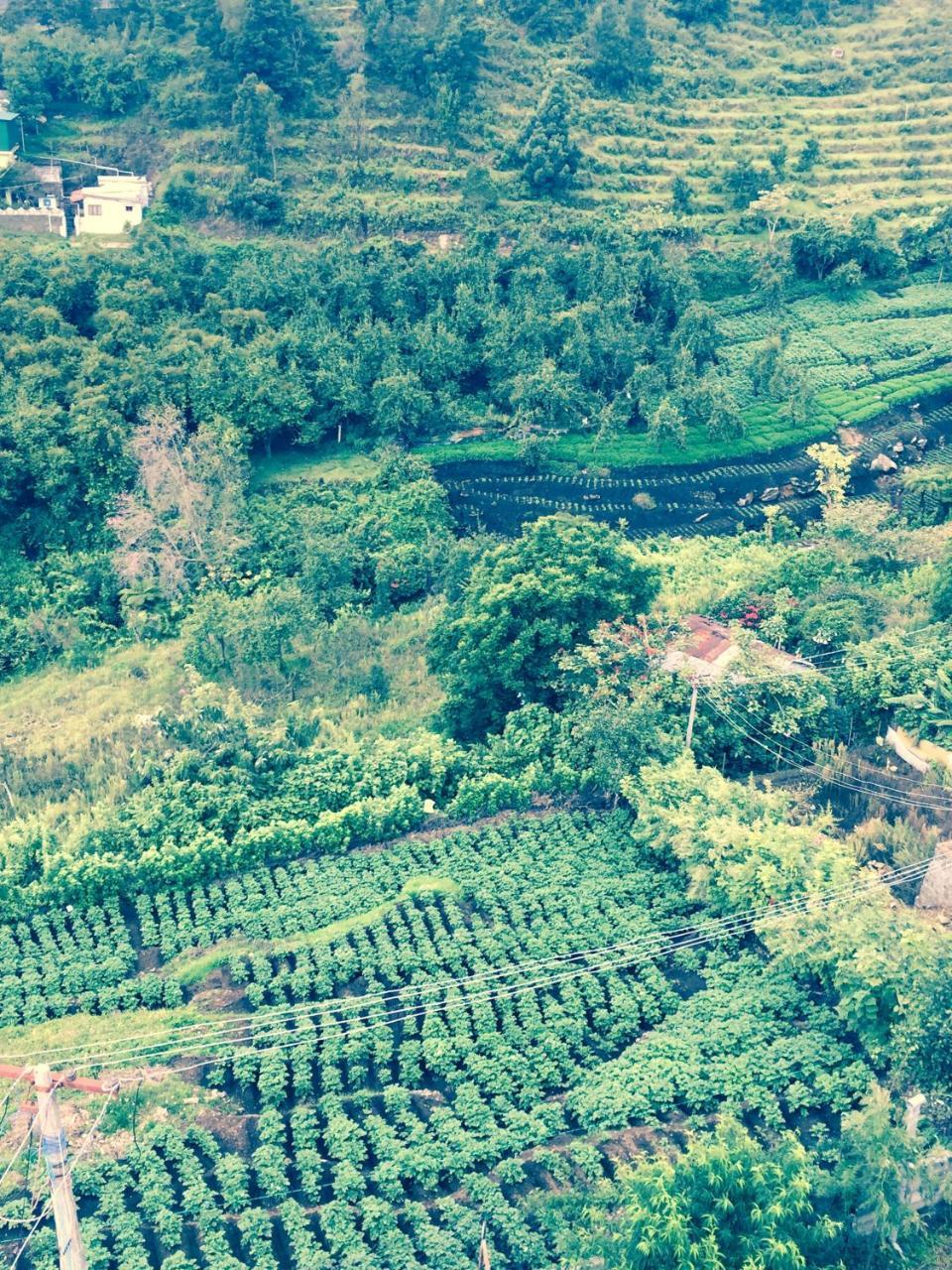 Hotel Zion Elite Residency Tamilnadu - Tamilnadu - Kodaikanal Exterior foto